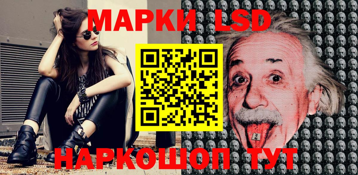 Марки NBOMe 1,5мг  Вход с VPN  Бердск  Марки NBOMe 1,5мг 