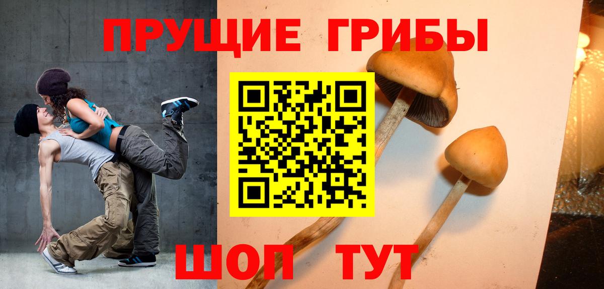 Галлюциногенные грибы Cubensis  Вход с VPN  Бердск  Галлюциногенные грибы Psilocybine cubensis 
