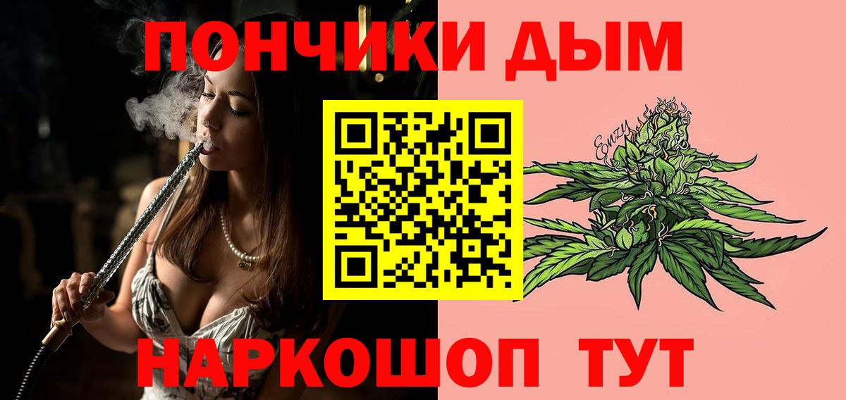 Бошки Шишки план Бердск